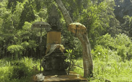 Keindahan Mata Air di Pura Campuhan Desa Adat Tohjiwa