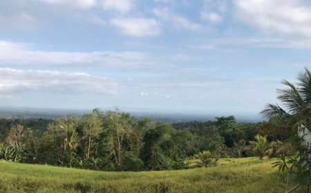 Surga Buah Tropis dan Harmoni Berkelanjutan di Pelukan Alam Desa Piling