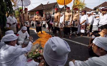 Nyepeg Sampi: Cultural Heritage of the Asak Traditional Village