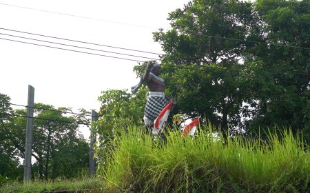 A Myriad of Colors on Desa Adat Serangan: Reclamation, Cultural Diversity, and Enchanting Spiritual Traditi