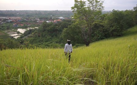 Bukit Belong: Painting the Beauty of Nature with the Green Grass Fields