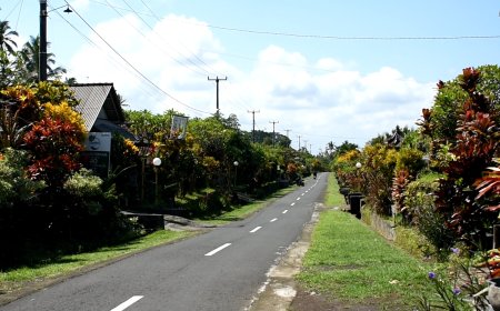 Exploring Pinge Traditional Village: A Traditional Village Preserving the Charm of Bali's Past