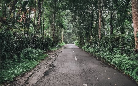 Desa Adat Taro: Jejak Sejarah Desa Adat yang Kaya Warisan Budaya