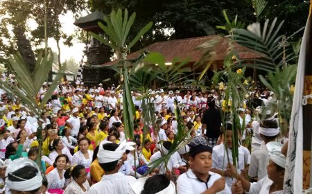 Exploring the Uniqueness of the Ngerebek Tradition   Kukuh Traditional Village