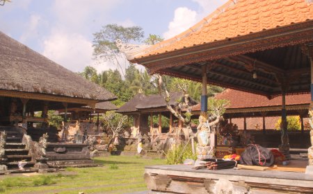 Exploring the Uniqueness of Sebatu Traditional Village through the Beauty of Carving and Sculpture