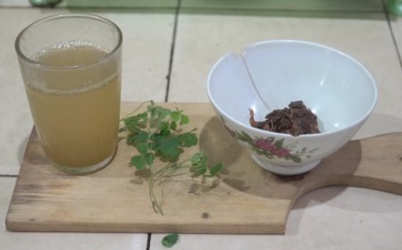 Semanggi Gunung: Jarang Diketahui Namun Memiliki Banyak Manfaat dalam Usadha Tiwang