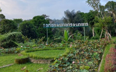 Keindahan Taman Kunang-Kunang Desa Taro,Gianyar