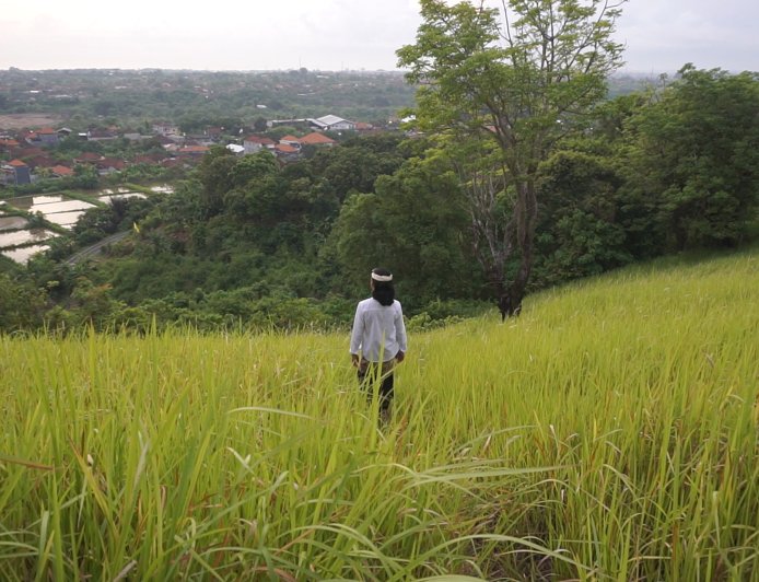 Bukit Belong: Painting the Beauty of Nature with the Green Grass Fields