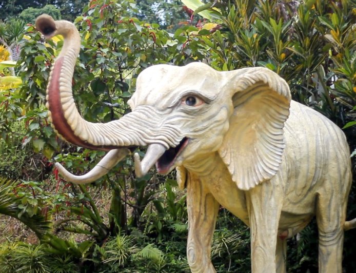 Desa Wisata Pinge: Menyelami Keindahan Kehidupan Pedesaan yang Penuh Kehangatan