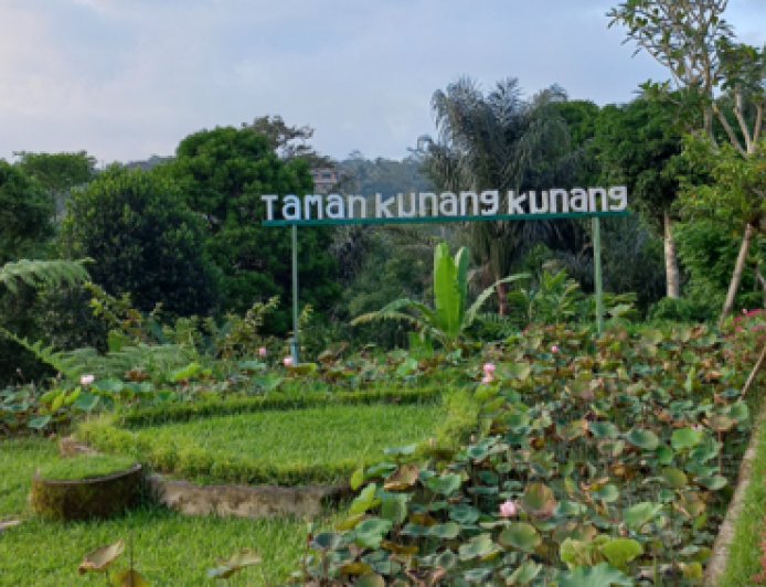 Keindahan Taman Kunang-Kunang Desa Taro,Gianyar