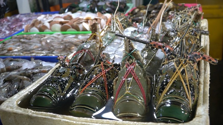 Kedonganan Fish Market: An Adventure of Exploring Seafood Treasures and Savoring Delicious Grilled Fish by Kedonganan Beach