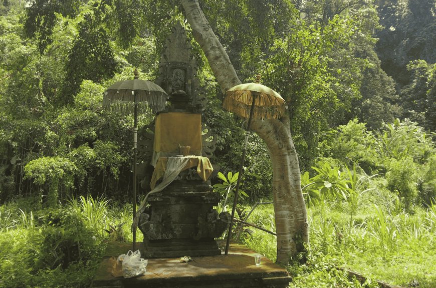 The Beauty of the Spring in Campuhan Temple, Tohjiwa Traditional Village