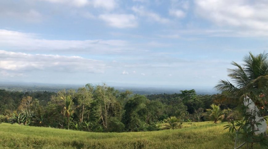 Surga Buah Tropis dan Harmoni Berkelanjutan di Pelukan Alam Desa Piling