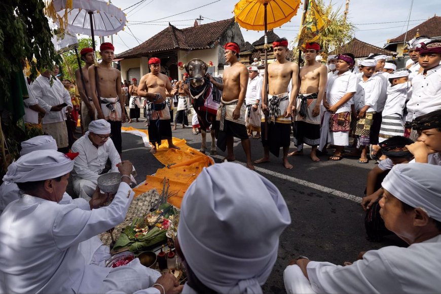 Nyepeg Sampi: Cultural Heritage of the Asak Traditional Village
