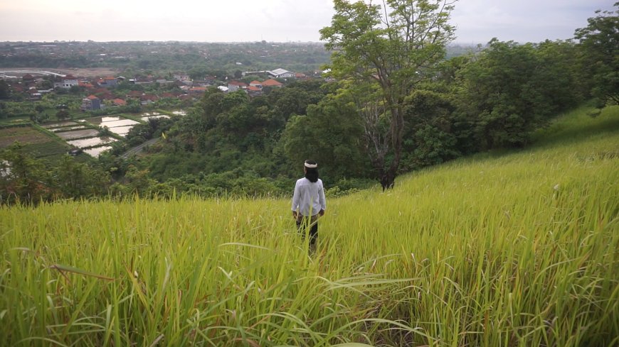 Bukit Belong: Painting the Beauty of Nature with the Green Grass Fields