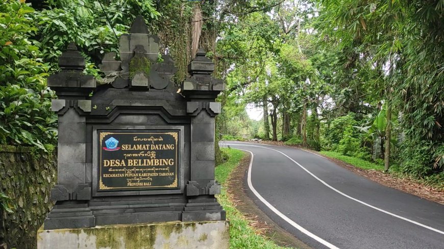 Belimbing Village: Getting to Know the History of the Formation of Belimbing Village