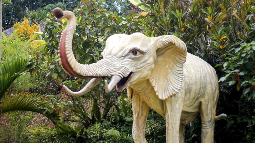 Desa Wisata Pinge: Menyelami Keindahan Kehidupan Pedesaan yang Penuh Kehangatan