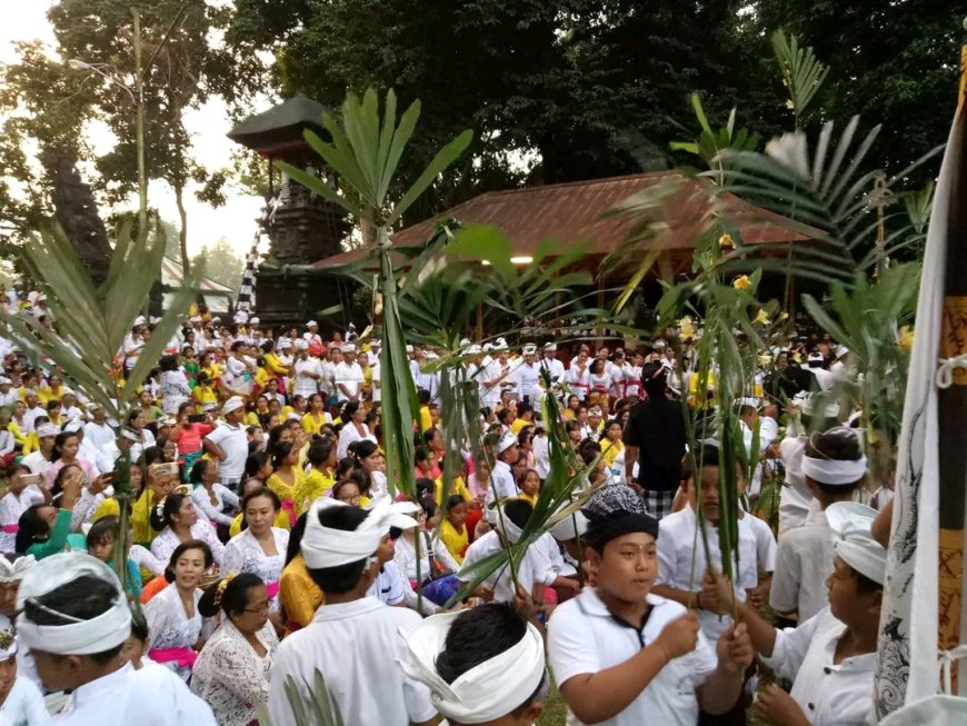Menelusuri Keunikan Tradisi Ngerebek Desa adat Kukuh