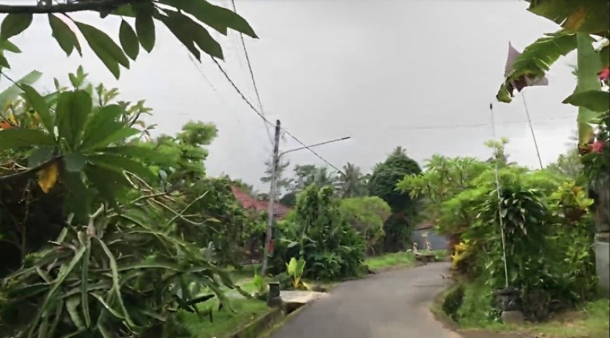 The Natural Charm and Cultural Heritage of the Pangsan Traditional Village