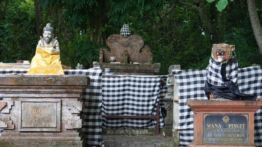 Wana Pingit: A forest that is sacred and used as a symbol of repelling bad luck.