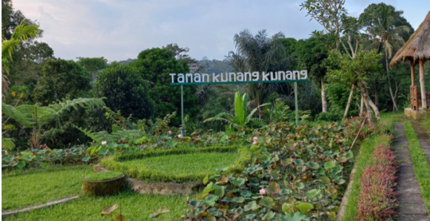 Keindahan Taman Kunang-Kunang Desa Taro,Gianyar