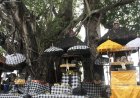 Misteri dan Sejarah Pura Taman Sari Swagina: Dari Pemujaan Petani hingga Restu untuk Atlet dan Pelajar
