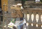 Tirta Seganing Temple: A Purification Sanctuary Amidst Gianyar's Rice Fields