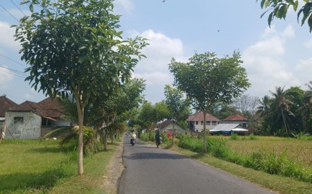 Cau Belayu Village: Serenity and Beauty on the Island of the Gods