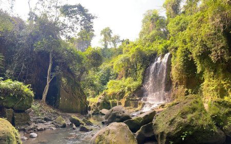 Temesi Waterfall: Harmoni Alam yang Membius di Jantung Bali