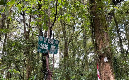 Pura Luhur Pucak Adeng: Destinasi Spiritual di Tengah Keheningan Hutan Lindung