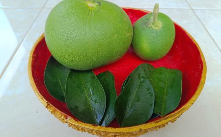 Exploring the Benefits of Pomelo as a Treatment for Swelling in Balinese Usadha