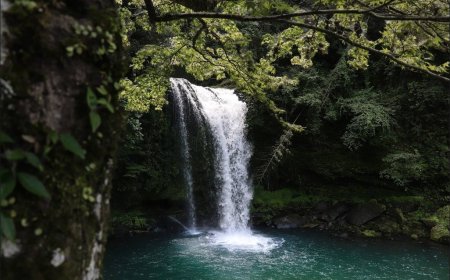 The Charm of Tibu Sampi Waterfall: A Hidden Paradise in the Heart of Nature in Tabanan