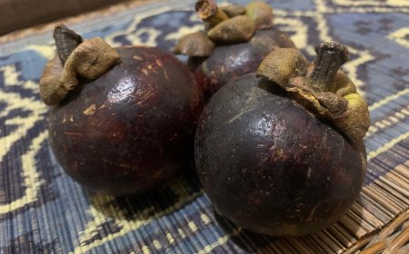 Mangosteen as a Natural Medicine for Scabs: Lontar Taru Pramana's Perspective