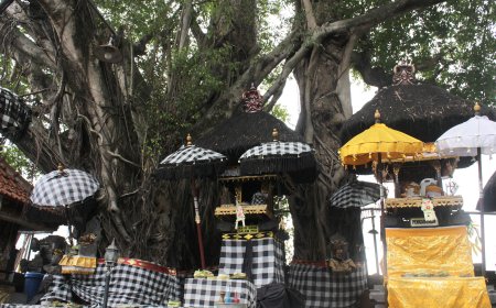 Misteri dan Sejarah Pura Taman Sari Swagina: Dari Pemujaan Petani hingga Restu untuk Atlet dan Pelajar