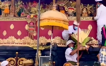 Nedunin Dewa Nini : Tradisi Agraris Sebagai Makna Rasa Syukur Atas Hasil Panen Yang Melimpah
