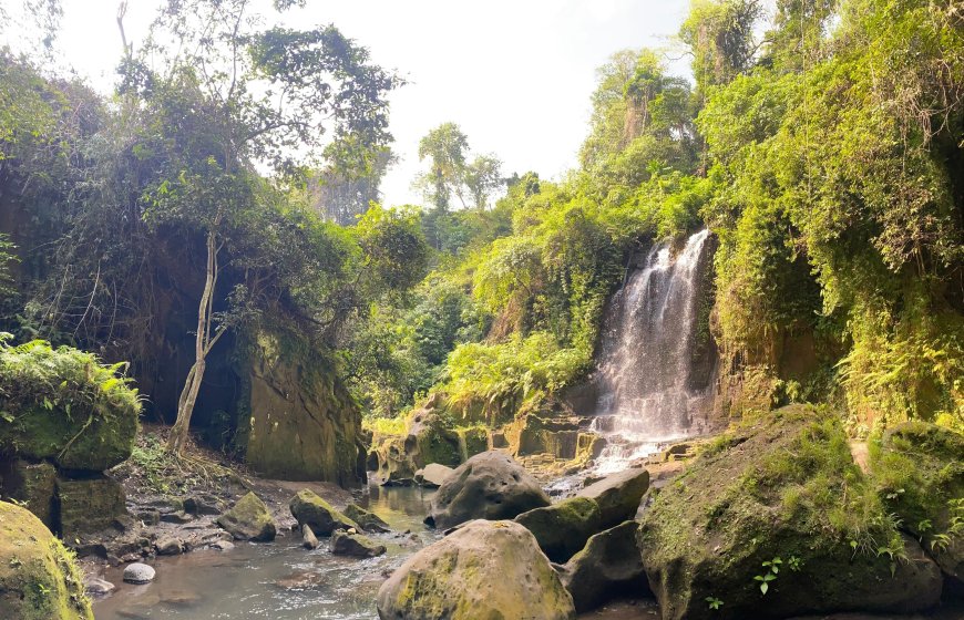 Temesi Waterfall: Harmoni Alam yang Membius di Jantung Bali