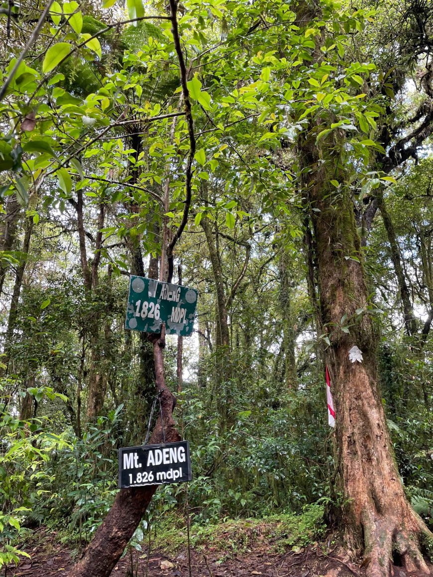 Pura Luhur Pucak Adeng: Destinasi Spiritual di Tengah Keheningan Hutan Lindung