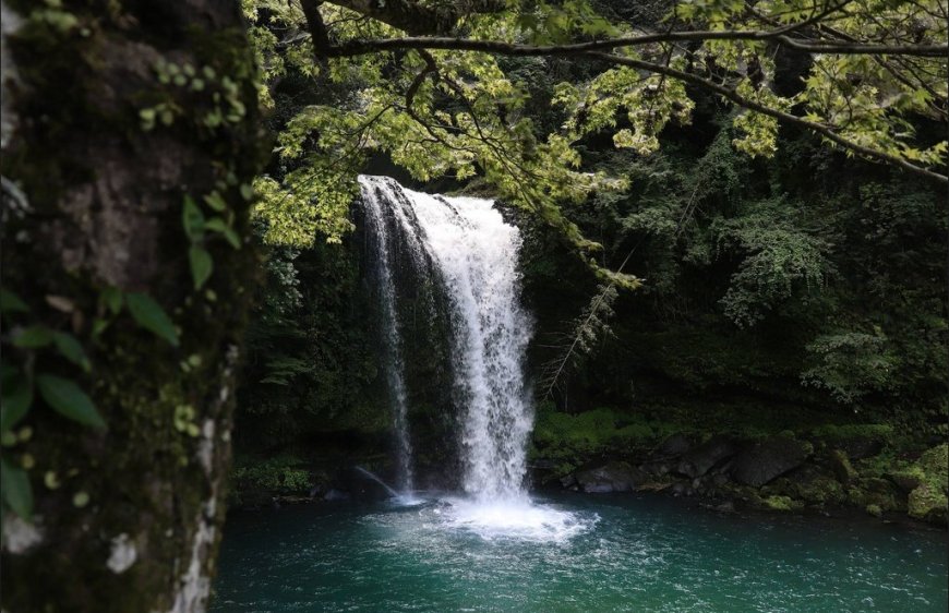 The Charm of Tibu Sampi Waterfall: A Hidden Paradise in the Heart of Nature in Tabanan