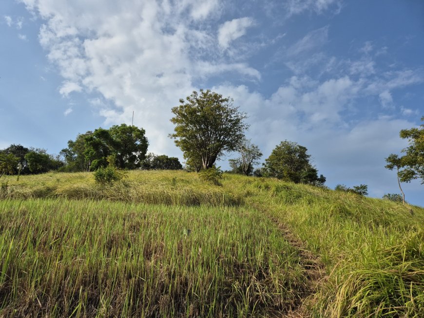 Bukit Belong, Permata Tersembunyi dengan Pemandangan Spektakuler