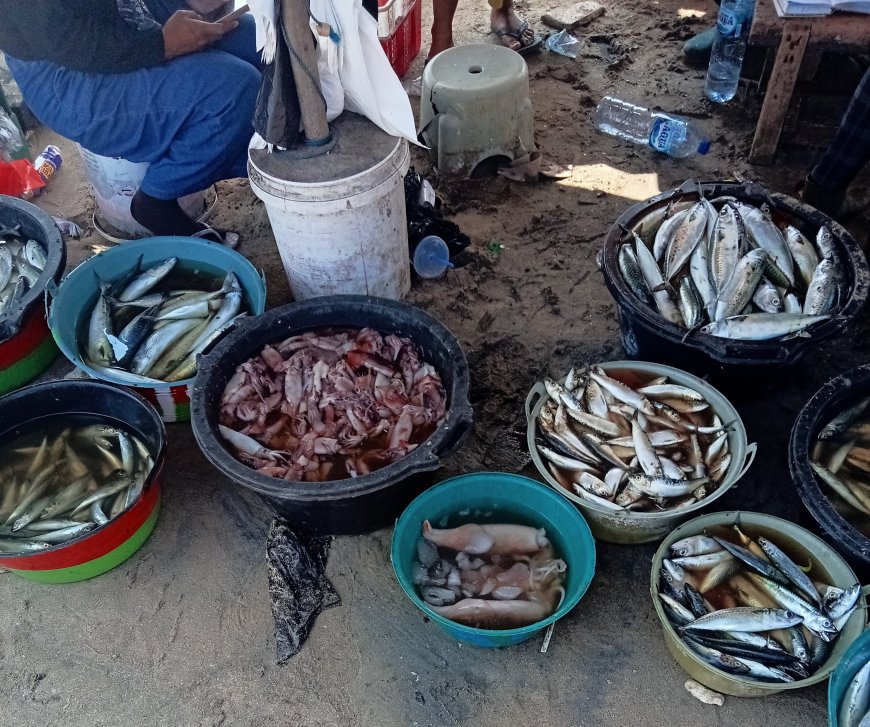 Kearifan Lokal Nelayan Kedonganan: Harmoni Tradisi dan Keindahan Pesisir Jimbaran