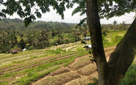 Bukit Jambul: A Dramatic Landscape That Inspires Paintings