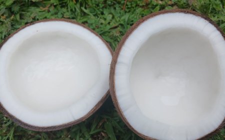 Lengis Tandusan: Minyak Kelapa Tua Berkhasiat Khas Bali