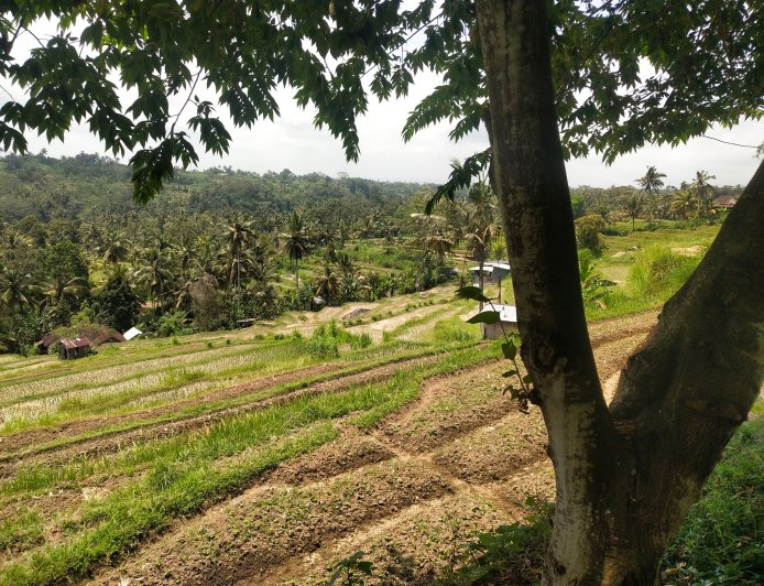 Bukit Jambul: A Dramatic Landscape That Inspires Paintings
