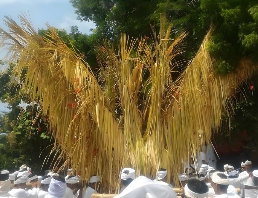 Menyusuri Tradisi Ngusaba Bukakak: Upacara Sakral Penjaga Keseimbangan Alam dan Kehidupan di Bali Utara