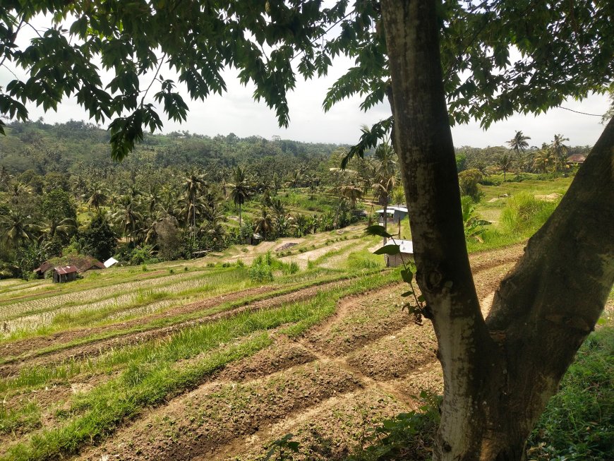 Bukit Jambul: A Dramatic Landscape That Inspires Paintings