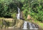 Petualangan di Balik Rimbunnya Hutan: Menemukan Keindahan di Air Terjun Layana