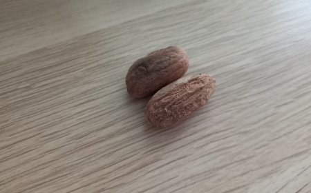 Nutmeg: Traditional Usadha Bali Remedy for Digestion and Cold Relief