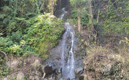 Menyusuri Keanggunan Alam di Air Terjun Mulia: Pesona Tersembunyi yang Menyejukkan