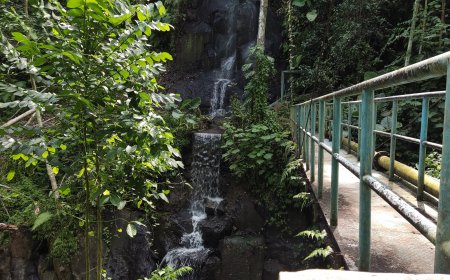 The Beauty of Titi Waterfall: A Hidden Paradise in Nature