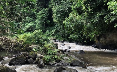 Ayung River Bali: A Water Adventure Combining Nature, History, and Thrills